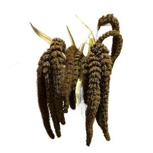 Ashland Faux Foliage Long Stem Bundle | 14 Pieces | 41” Tall | Home Décor NWT